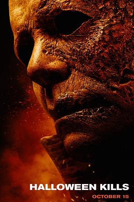 洛龙区seo优化哪家强